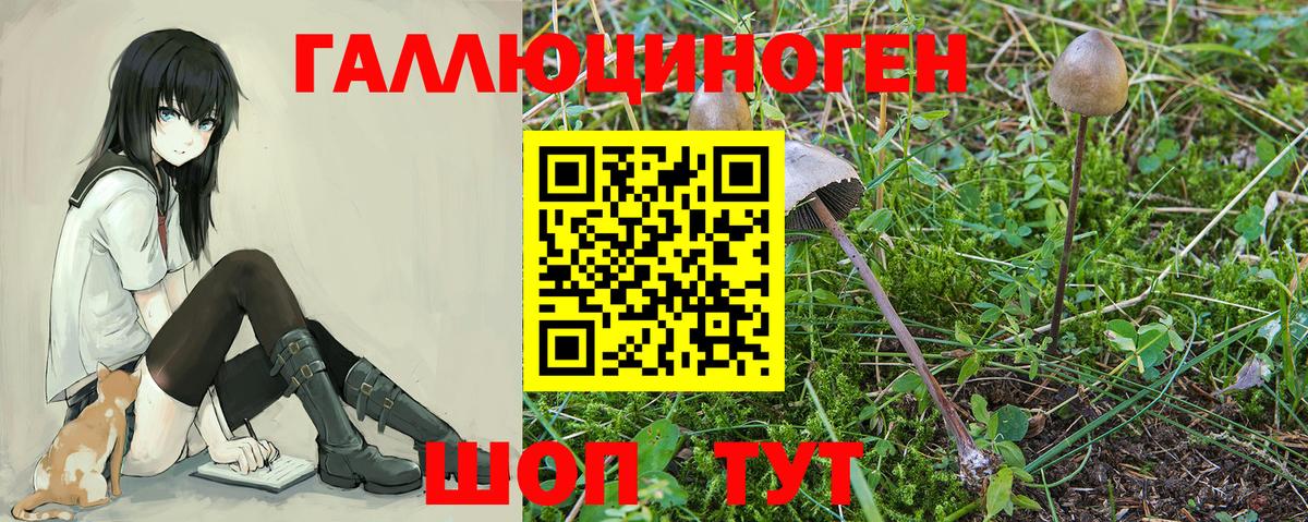 Каспийск  Галлюциногенные грибы мухоморы  Вход с VPN 
