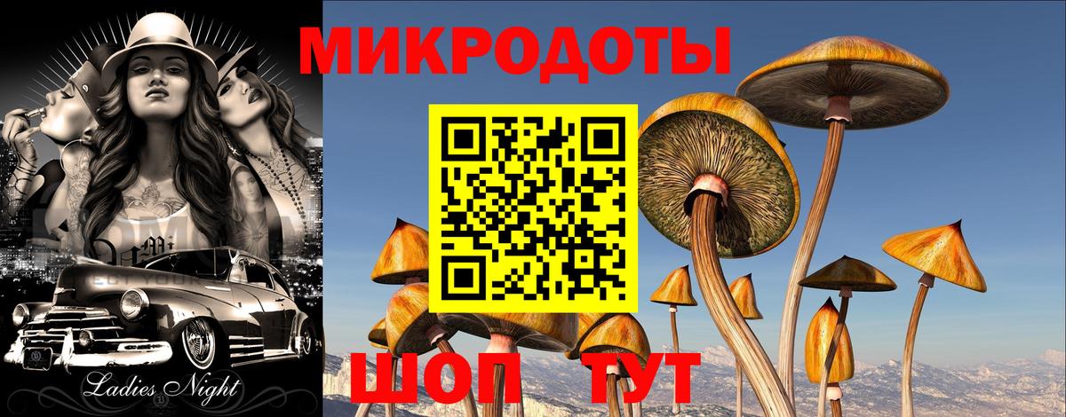 Псилоцибиновые грибы мицелий Каспийск